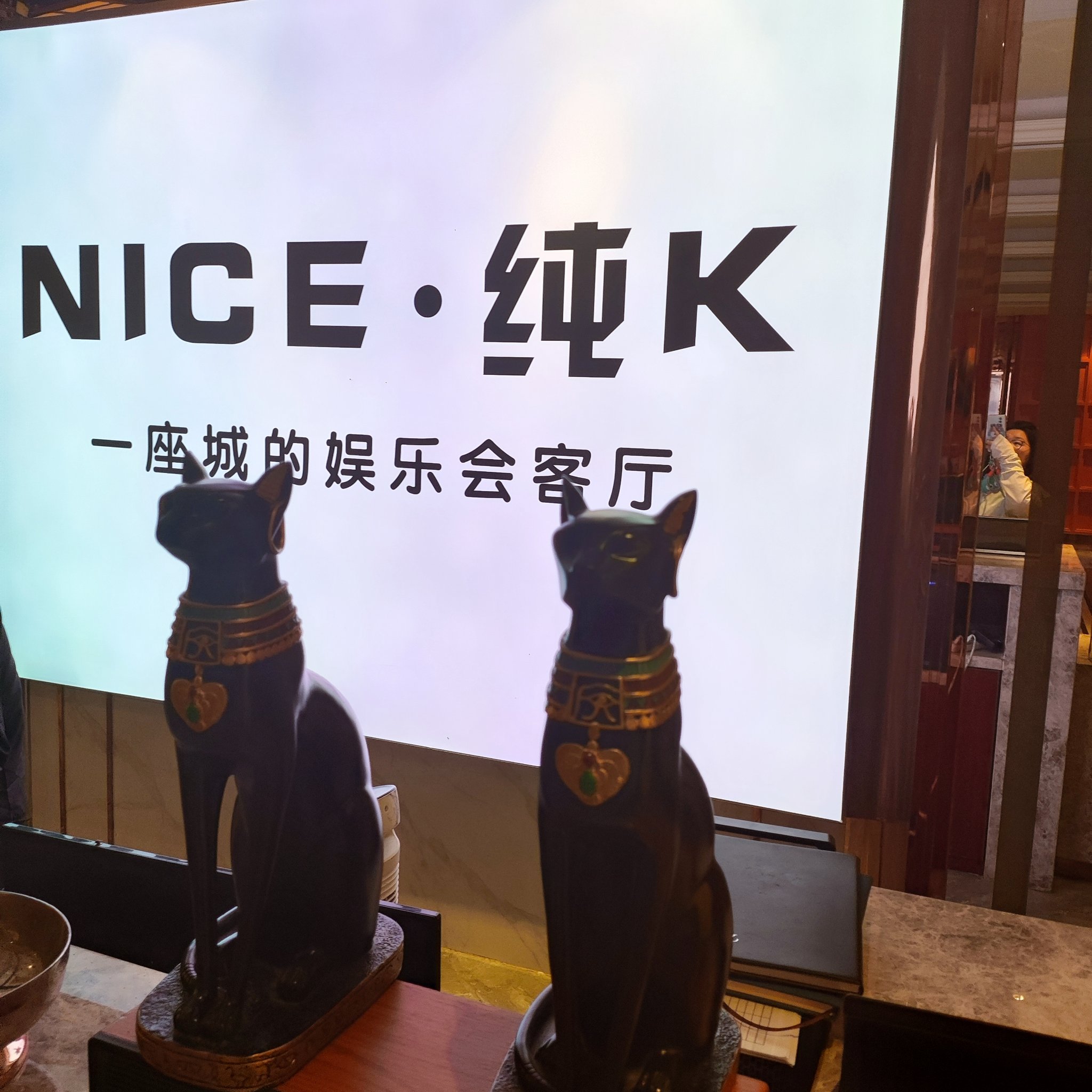 嘉兴商务KTV预订房-嘉善县ktv预订